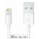 Apple MD819ZM/A Lightning USB Cable